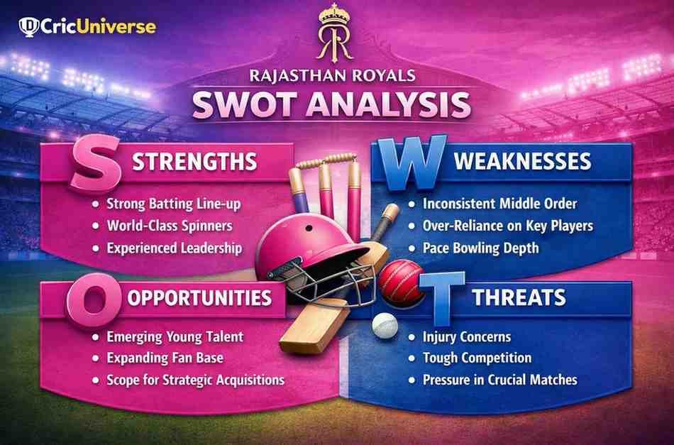 Rajasthan SWOT